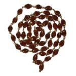 Rudraksh Mala Capwali Double Cup