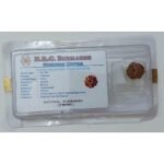Rudraksh Dana Panch Mukhi-Five Face Lab Certified