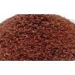 Lajvanti Beej Lajwanti Seeds Chui Mui Mimosa Pudica