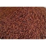 Chandrashura Chandrashoora Beej Asaliya Seed Garden Cress Seeds