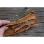 Khair Ki Jad Khair Ki Jaad Khair Ki Jar