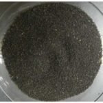 Samunder Sokh Beej Kamarkas Seeds Samudra Sosh Samundar Sokh Convolvulaceae