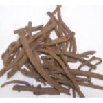 Majith Root Asli Manjistha Root Manjith Jad Majeeth Jad Madder Rubia Cordifolia