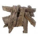 Padal Chhal Padhal Bark Patala Chhal Stereosprmum Sauvealens