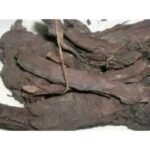 Kikar Chaal Babool Skin Chhal