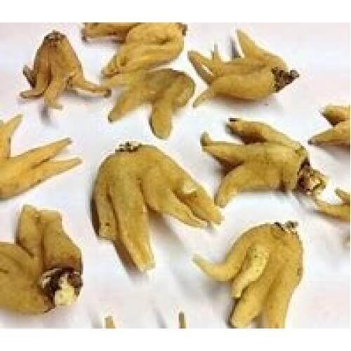 U1607-Salam-Panja.jpg-filenameUTF-8U1607-Salam-Panja.jpg Salam Panja - Image 1