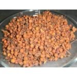 Nagkesar Nag Kesar Nagkeshar Nag Keshar Ochrocarpus Longifolius