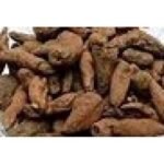 Ridhi Vridhi Habenaria Intermedia