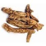 Shakakul Mishri Shaqaqul Misri Sakakul Mishri Pastinaca Sativa