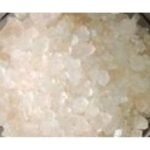 Sat Ajwain Thymol Sat Ajwaain Trachyspermum Ammi Sprague