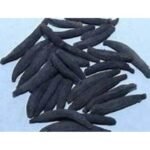 Pahari Laung Long Clove