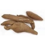 Udsaleev Udsalib Ood Saleeb Ud Saleeb Paeonia Officinalis