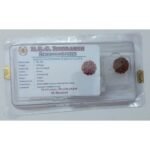 Rudraksh Dana Chhaye Mukhi-Six Face Lab Certified