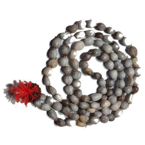 U283-VAIJANTI-MALA.jpg-filenameUTF-8U283-VAIJANTI-MALA.jpg Vaijanti Vaijayanti Mala - Image 1