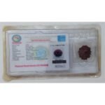 Rudraksh Dana Dus Mukhi-Ten Face Lab Certified