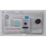 Rudraksh Dana Gyara Mukhi-Eleven Face Lab Certified